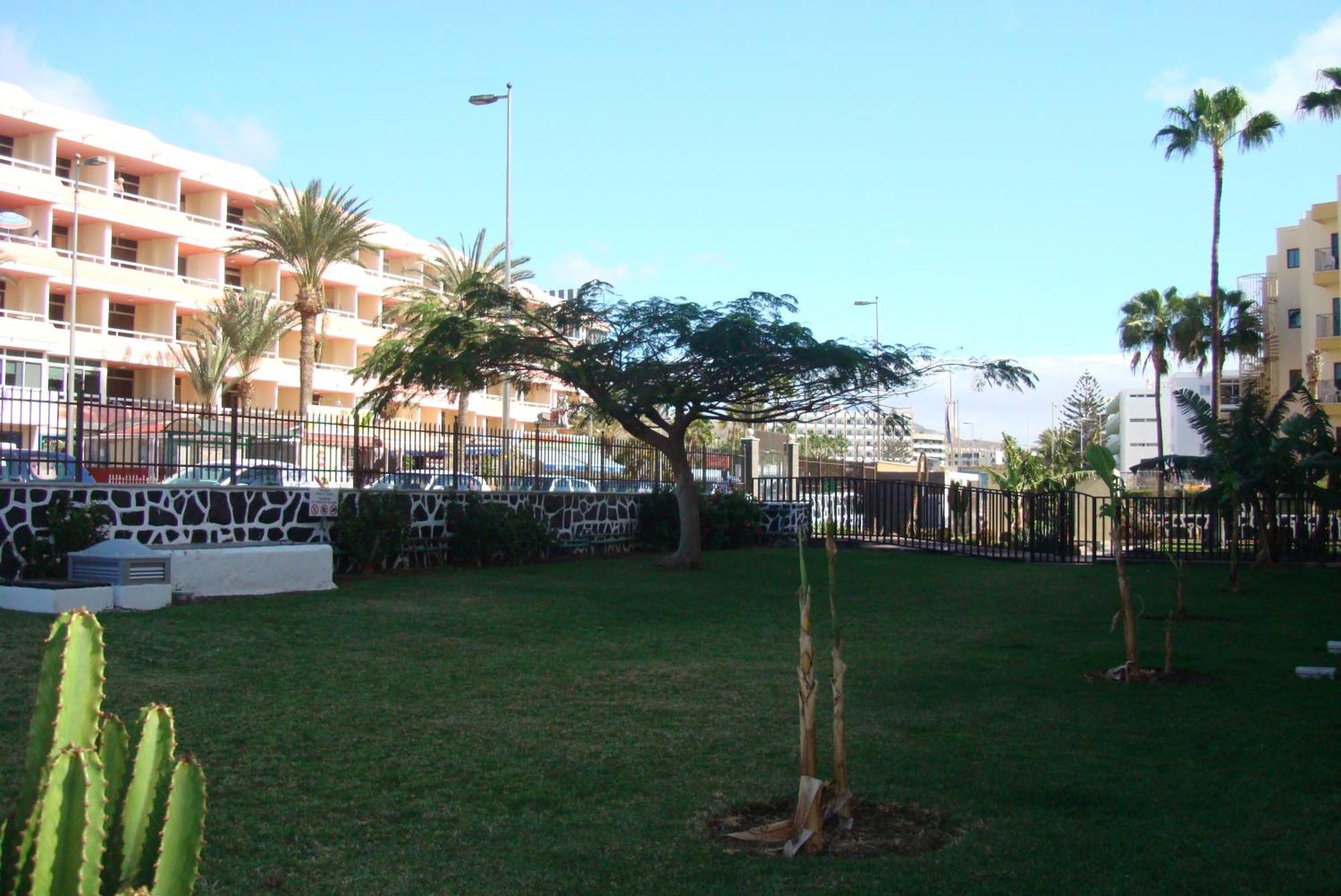 Los Cactus Playa del Inglés Eksteriør billede