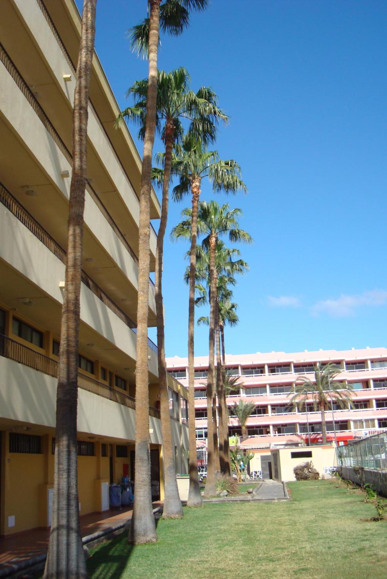 Los Cactus Playa del Inglés Eksteriør billede